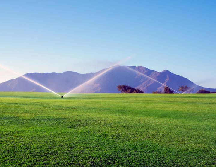 Irrigazione-attivata Campo con irrigazione attivata
