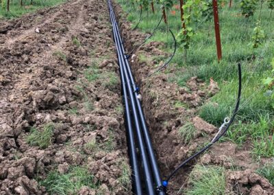 Installazione-impianto-di-irrigazione-uva
